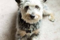 Milos Kitchen Birthday Bash