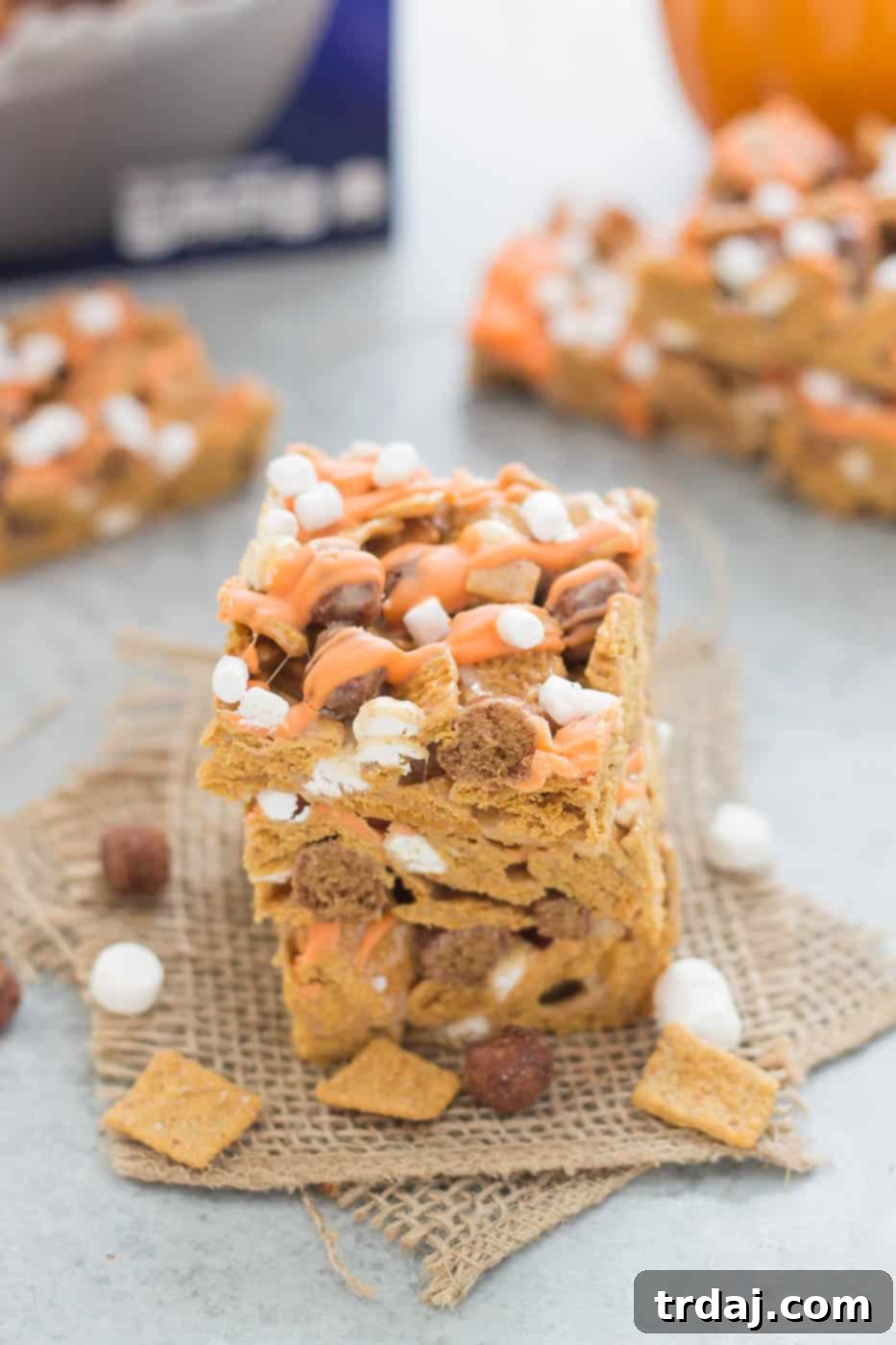Autumn Pumpkin Spice Smores Bars 1 featured 7506