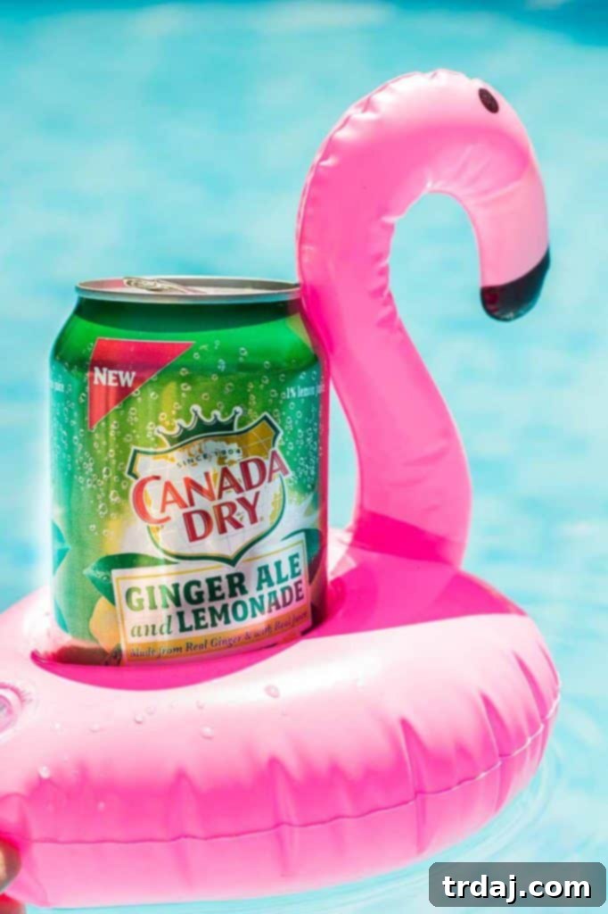 Flamingo drink floatie keeping Canada Dry Ginger Ale and Lemonade handy in the pool