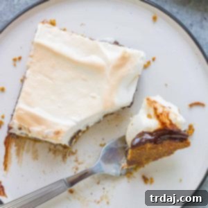 Sheet Pan S'mores: A detailed shot of the delicious, layered dessert.