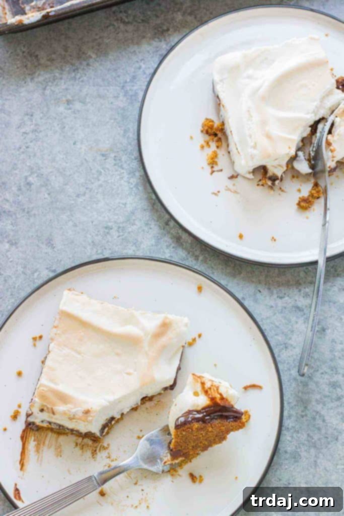 A close-up of Sheet Pan S'mores, highlighting the golden-brown toasted marshmallow meringue and gooey chocolate layer.