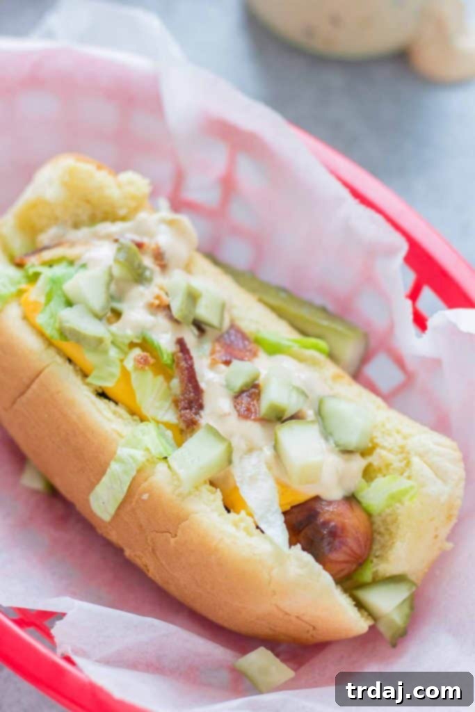 Mac Daddy Hot Dogs - Final presentation of gourmet hot dogs with side dish.