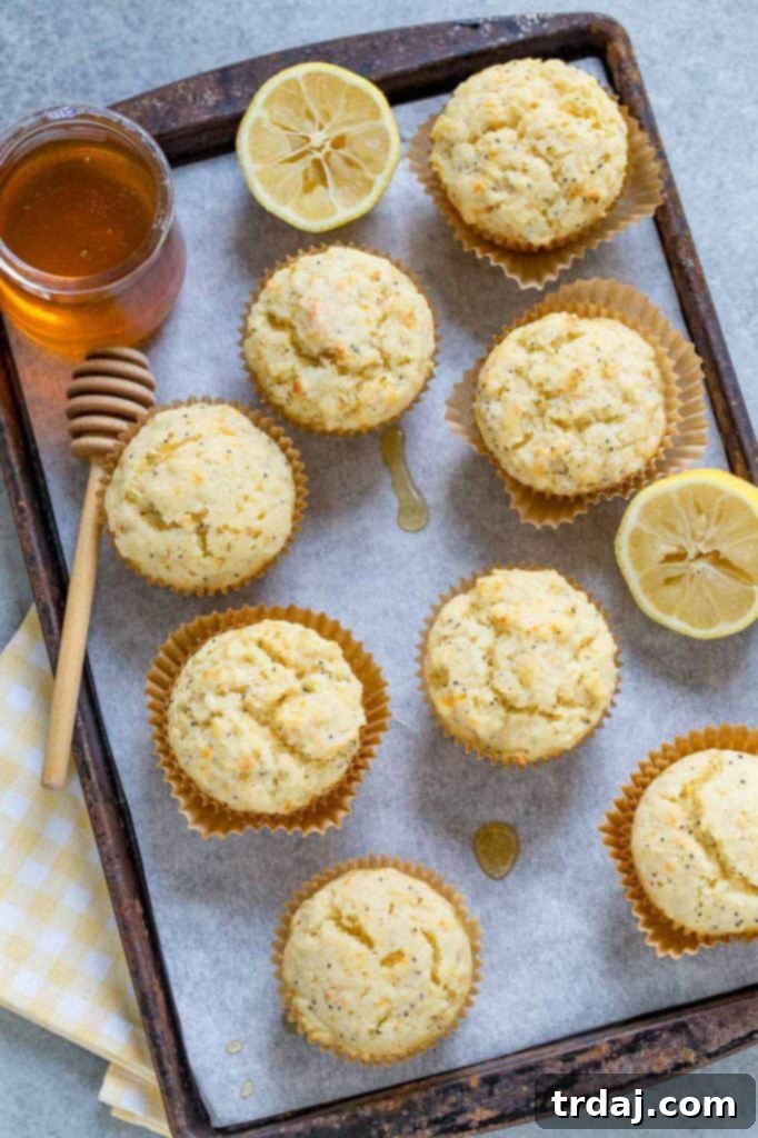 Light and fluffy Citrus Poppyseed Muffins with lemon and orange zest