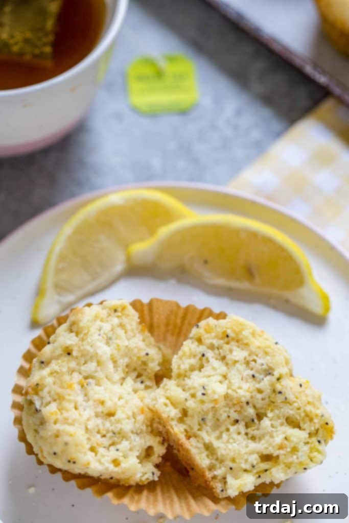 Two Citrus Poppyseed Muffins on a plate, ready to be enjoyed