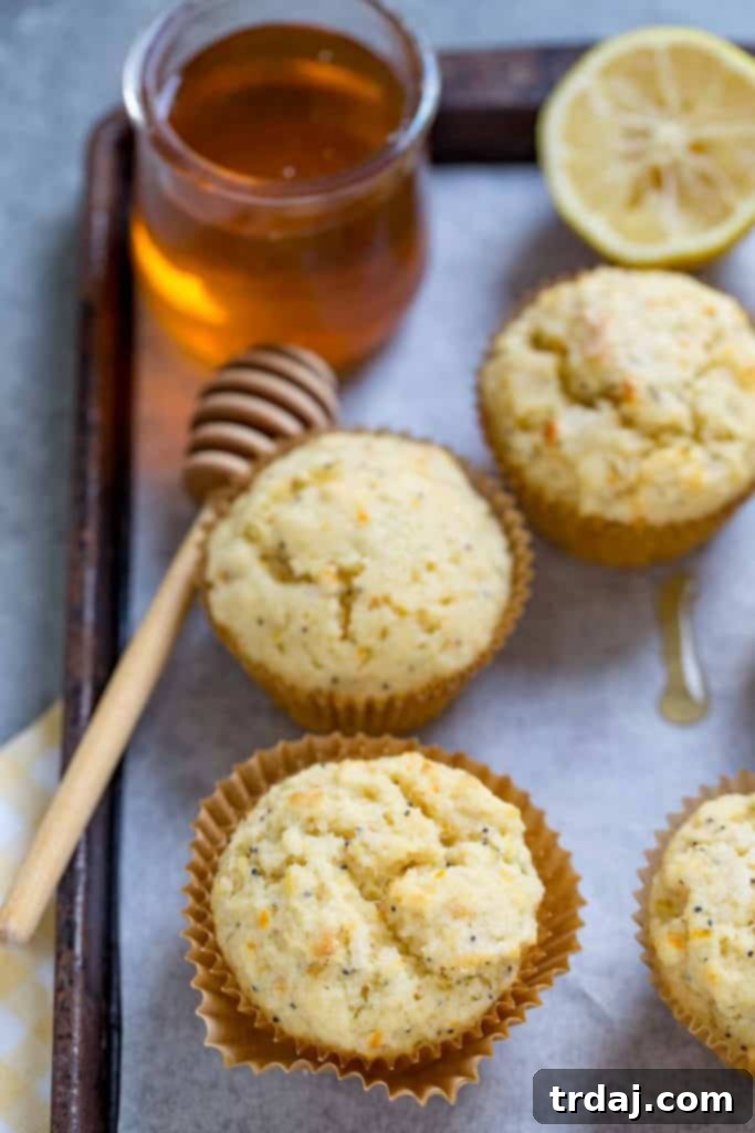 Two Citrus Poppyseed Muffins and a cup of Bigelow Tea, ready for a cozy moment