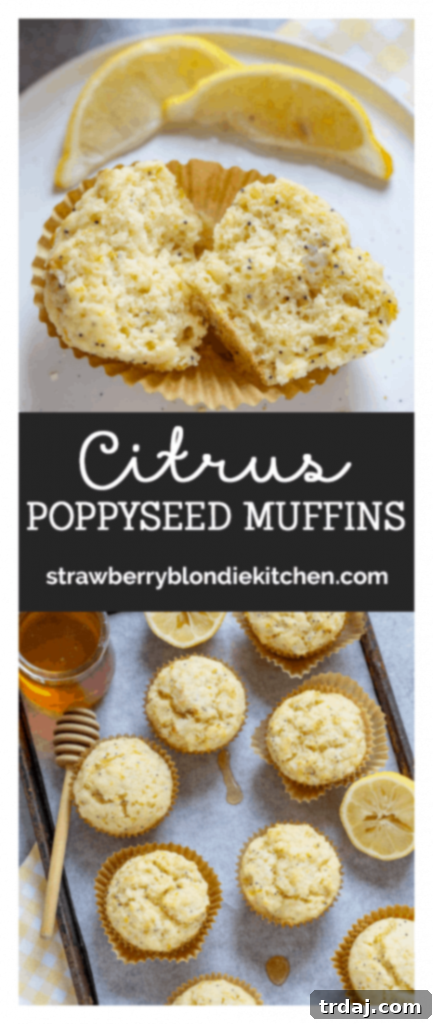 Pinterest graphic for Citrus Poppyseed Muffins recipe