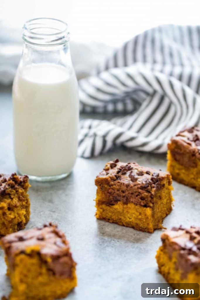 Chocolate Swirled Pumpkin Bars - a perfect fall dessert.