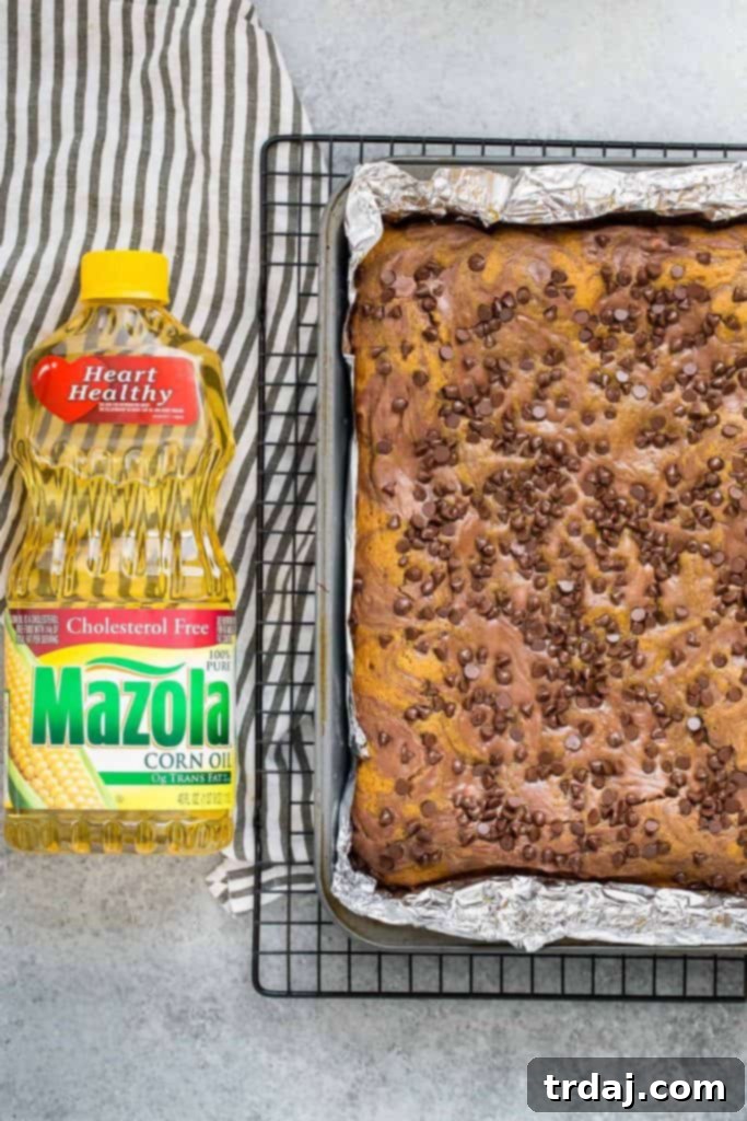 Close-up of Chocolate Swirled Pumpkin Bars showing moist texture.