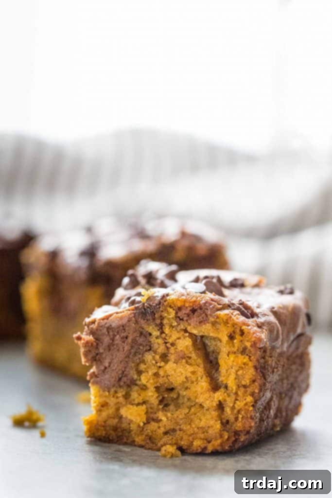 Chocolate Swirled Pumpkin Bars ready to be served.