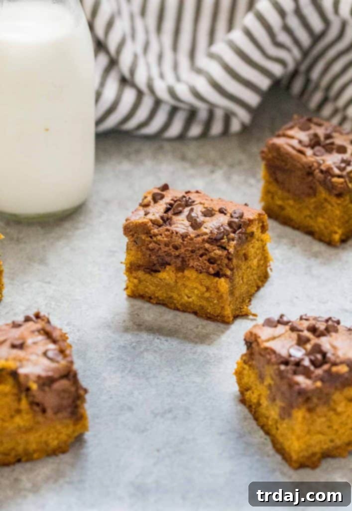 Delicious and healthy Chocolate Swirled Pumpkin Bars.