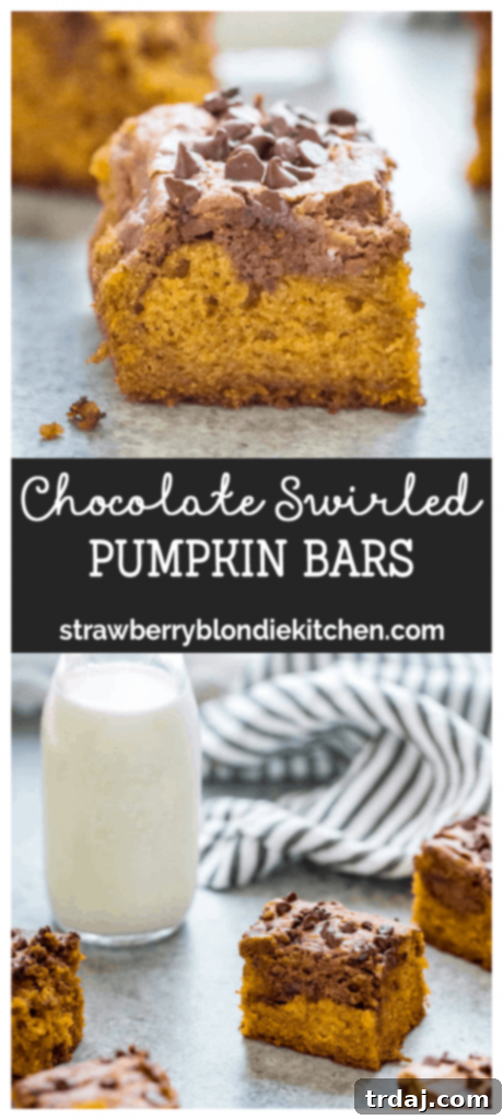 These Chocolate Swirled Pumpkin Bars are lightened up but still remain moist, delicious and bursting with pumpkin and chocolate flavor! 