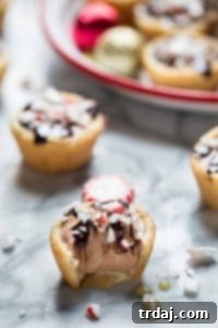 Peppermint White Chocolate Mocha Cookie Cups