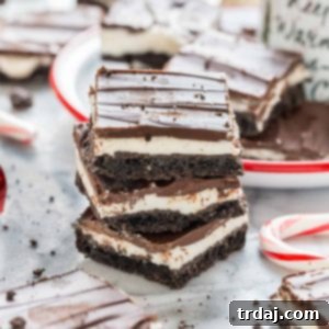 Cool Mint Chocolate Bars 4 Peppermint Patty Bars