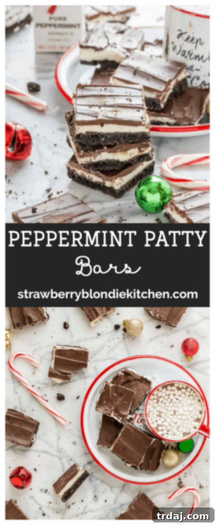 Cool Mint Chocolate Bars 6 Peppermint Patty Bars