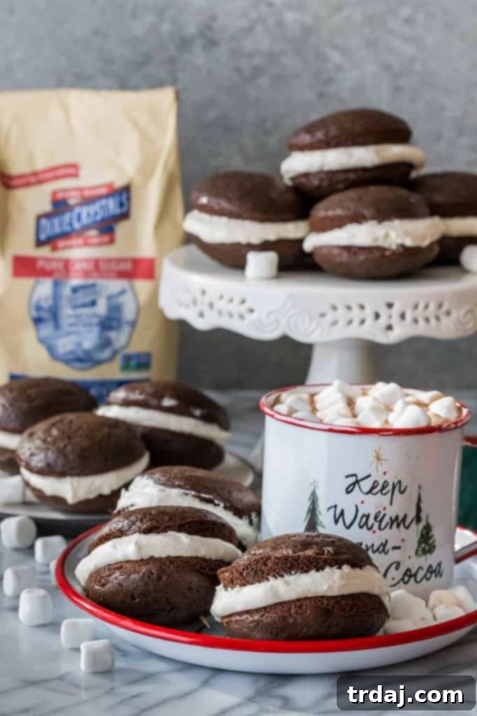 Close-up of Hot Chocolate Whoopie Pies with Marshmallow Filling