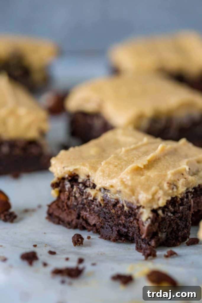 These Hazelnut Espresso Brownies are chewy, fudgy and packed with rich coffee flavor to bring out an intense chocolate experience only highlighted by the hazelnut buttercream frosting! Hazelnut Espresso Brownies - moist and decadent chocolate dessert