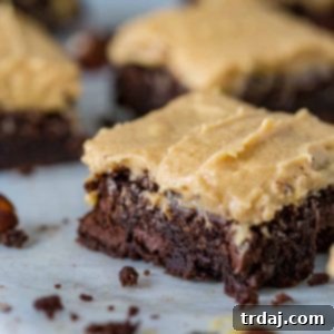 Rich Espresso Hazelnut Brownies 2 Hazelnut Espresso Brownies - final plated dessert