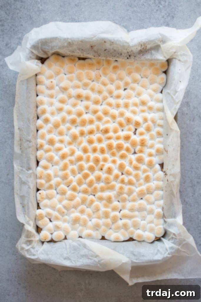 M&M'S® Monster S'mores Bars are a cookie lover's dream with a peanut butter crumble crust, melty M&M'S® Chocolate Bars and marshmallows toasted to perfection! M&M'S® Monster S'mores Bars