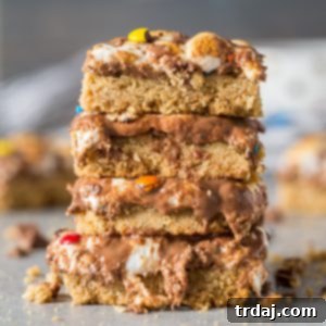 Homemade Monster S'mores Bars 2 img 13594 6