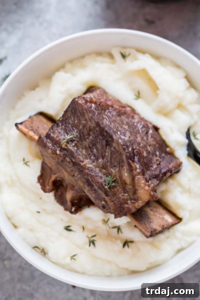 Close-up of perfectly cooked Instant Pot Short Ribs with rich sauce