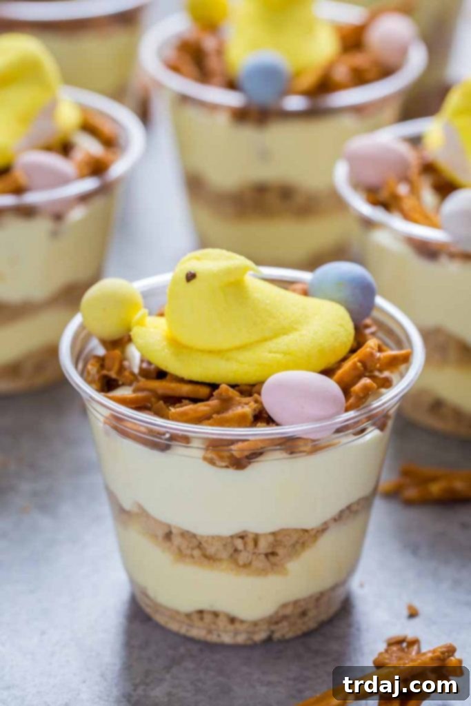 Close-up of Birds Nest Easter Dirt Cups, showcasing the layered texture and cute PEEPS chick topping