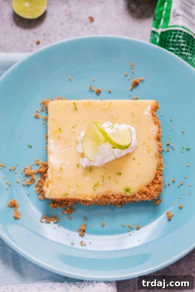 Sheet Pan Key Lime Pie with a generous serving, topped with whipped cream and lime slices.