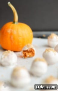 Recipe image for No-Bake Pumpkin Spice Truffles, a quick and easy fall dessert
