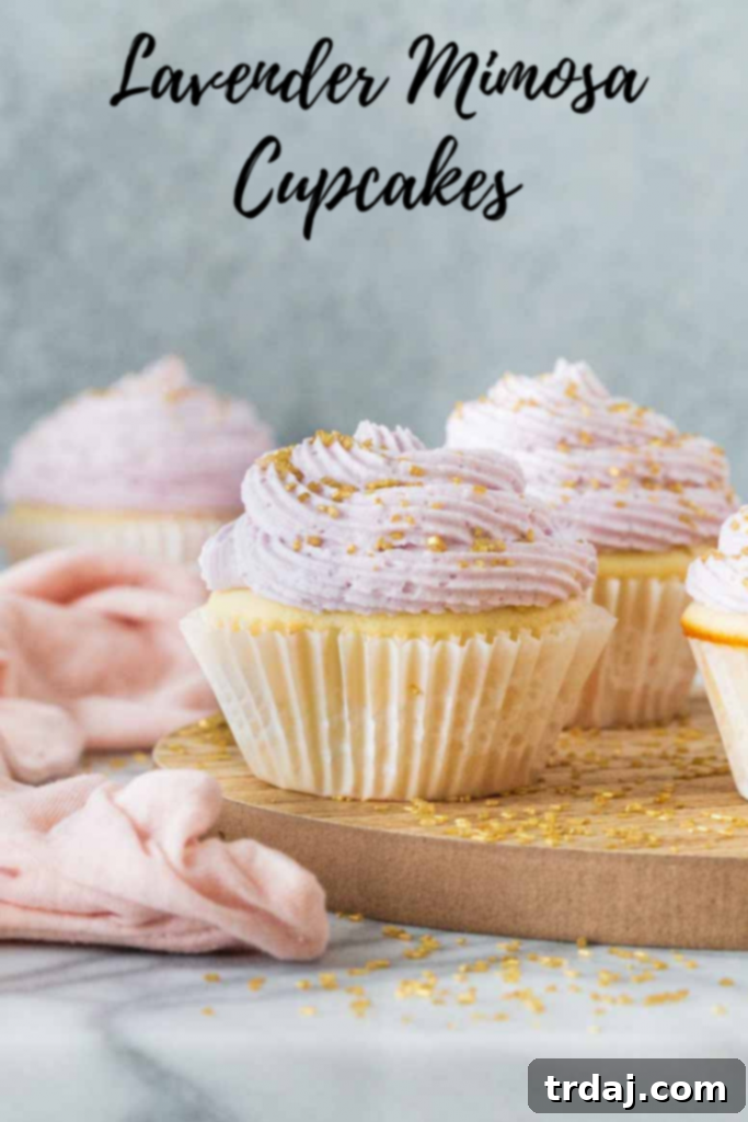 Brunch Week 2019 banner with various delicious foods