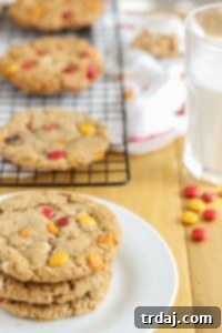 Side view of Autumn Monster Cookies, highlighting their texture and ingredients