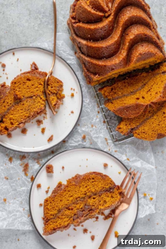 A top-down view of a Snickerdoodle Pumpkin Bread loaf, showcasing its even bake and cinnamon sugar topping.