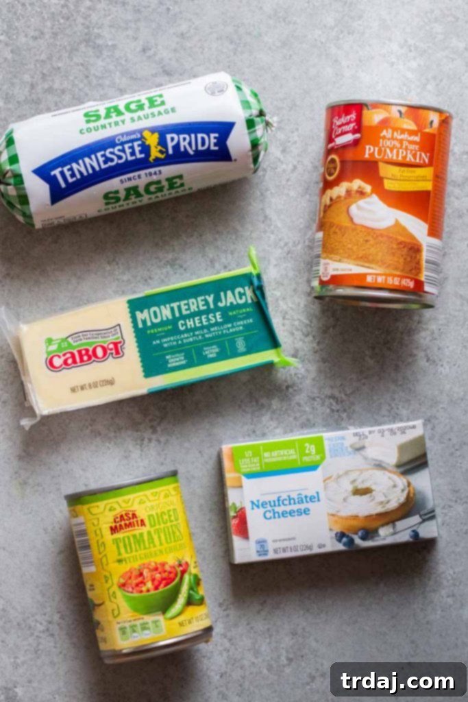 Ingredients laid out for making Pumpkin Sausage Cheese Balls: sausage, tomatoes with chiles, pumpkin puree, cheeses, spices, breadcrumbs, and pretzel sticks.