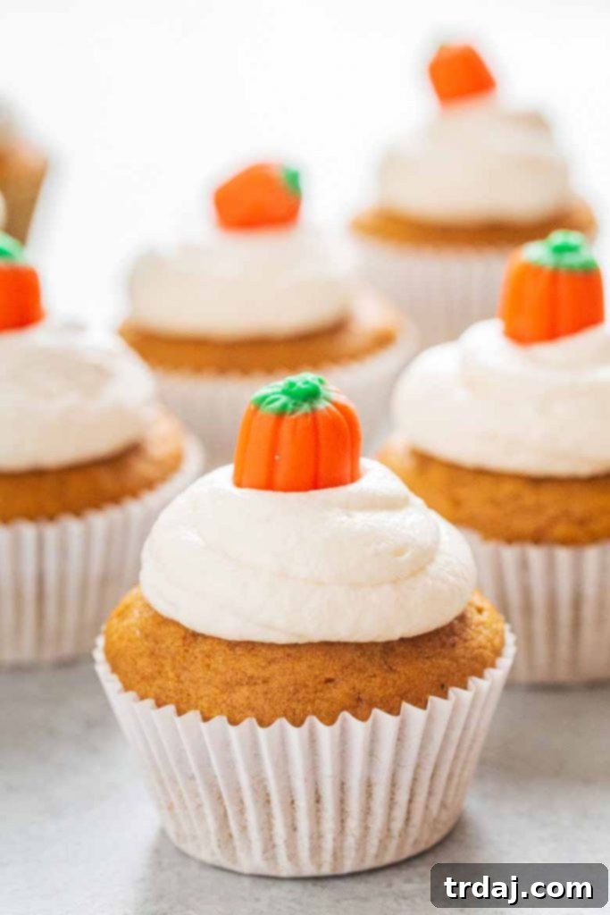 Fluffy pumpkin cupcakes topped with a rich marshmallow cream cheese frosting, ready to be enjoyed.