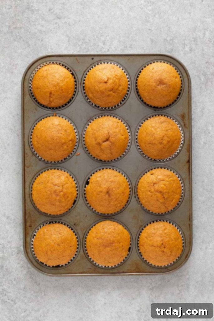 Freshly baked pumpkin cupcakes cooling in a muffin tin, right out of the oven.