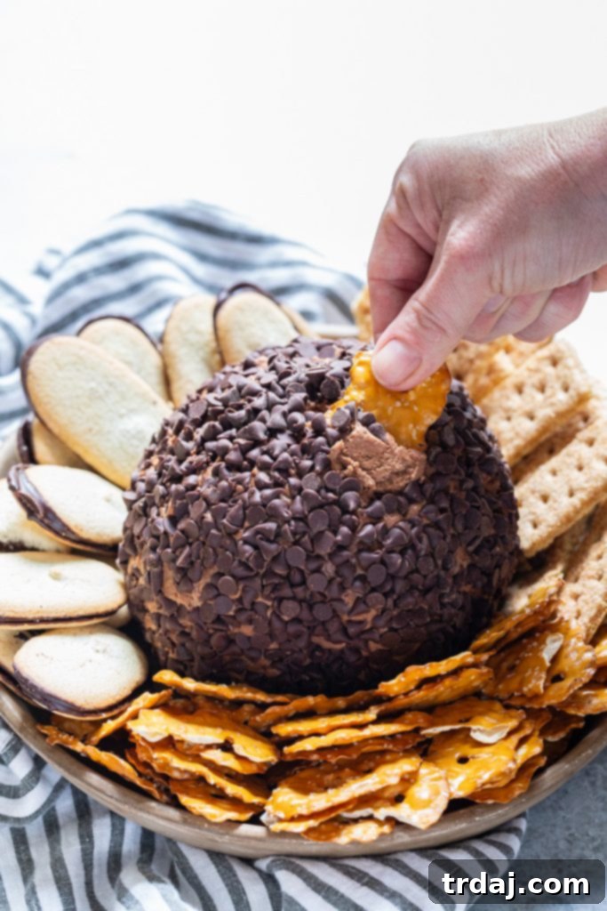 Death by Chocolate Dessert Ball is a chocolate lover's dream! Filled with chocolate sauce and rolled in mini chocolate chips, it's the perfect dessert to serve for a party! The inside of the Death by Chocolate Dessert Cheese Ball showing its creamy, rich texture, perfect for dipping.