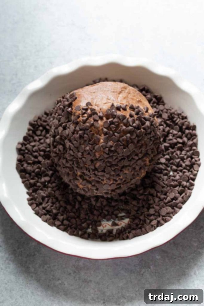 Death by Chocolate cheese ball Rolling the chilled chocolate dessert cheese ball into a generous coating of mini chocolate chips, pressing gently to adhere.