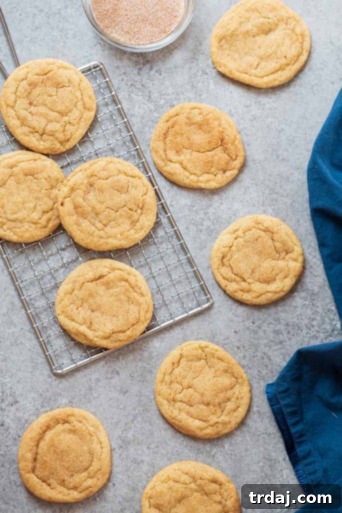 Close-up of freshly baked Snickerdoodle Cookies, showing their signature cinnamon-sugar coating