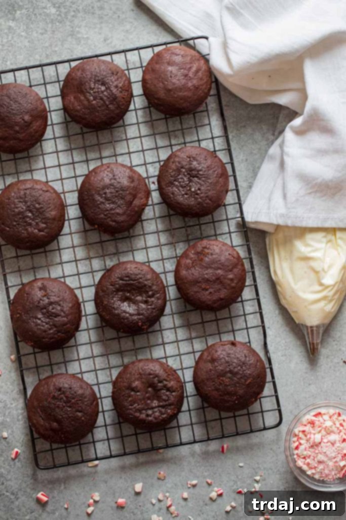 Chocolate Whoopie Pie cakes ready for peppermint marshmallow buttercream Chocolate Whoopie Pie cakes cooling on a wire rack, waiting for the peppermint marshmallow buttercream frosting