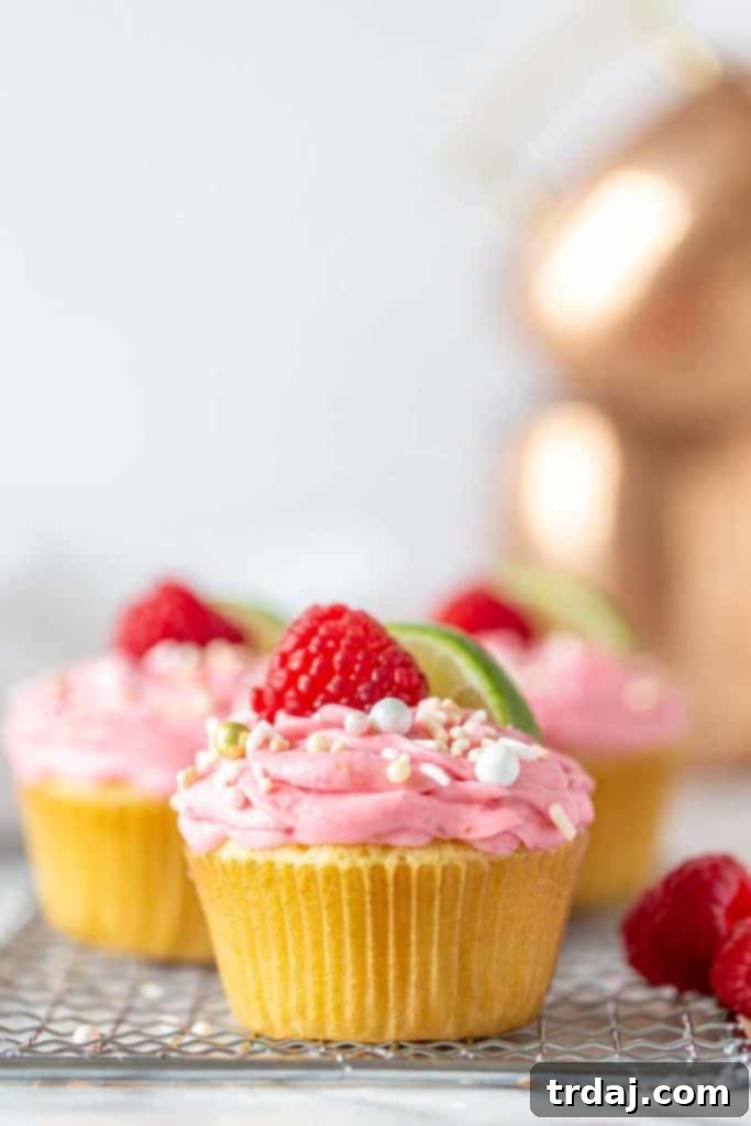 Single shot of raspberry Moscow Mule Cupcake with raspberry buttercream