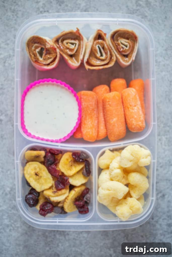 First Lunch Box Idea for School