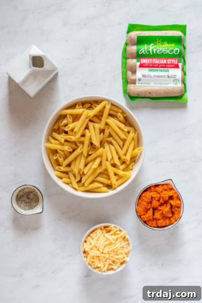 Ingredients needed to make One Pot Cheesy Pumpkin and Sausage Pasta