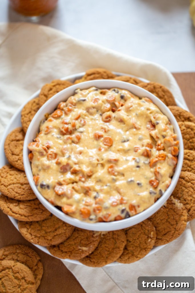 Assortment of dippers for Pumpkin Spice Cheesecake Dip