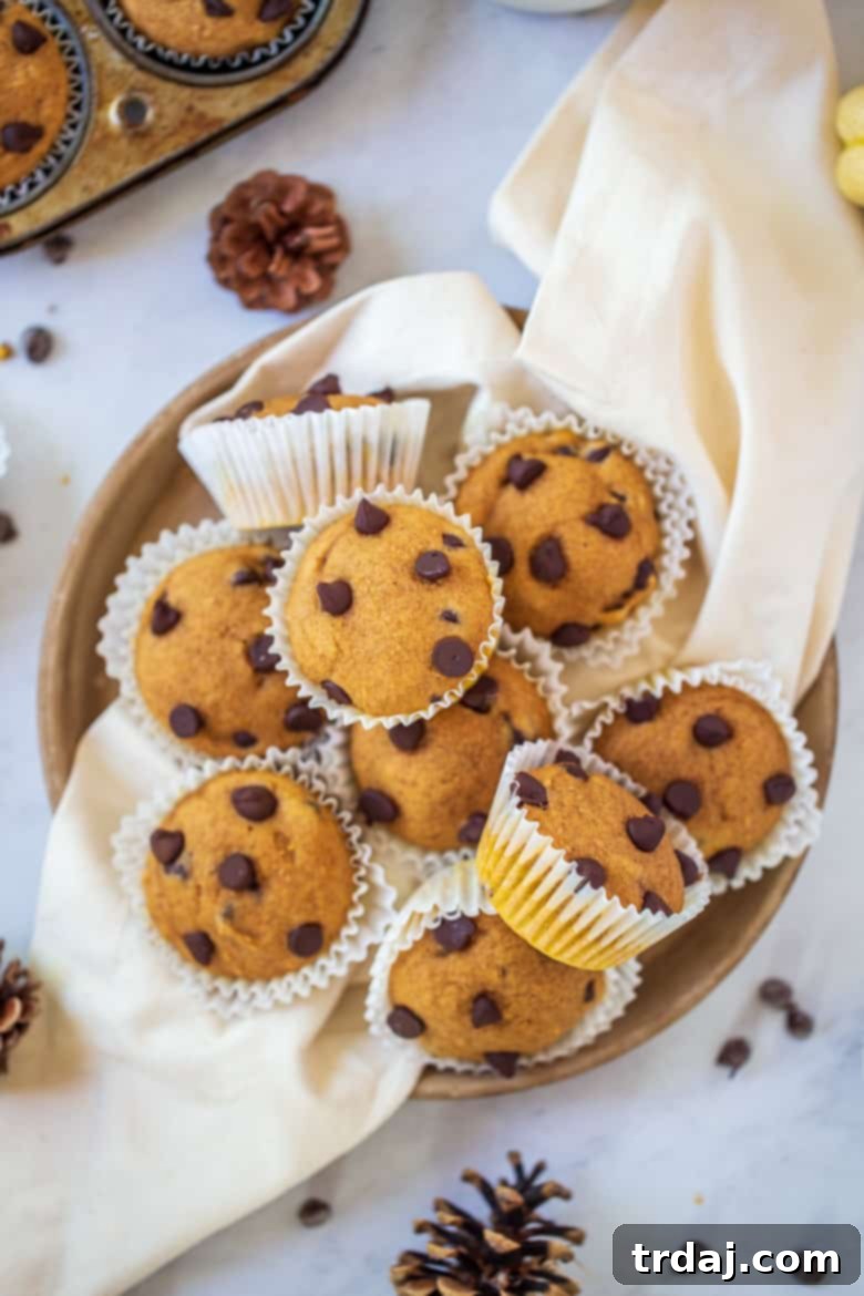 Pumpkin Chocolate Chip Muffins on a plate