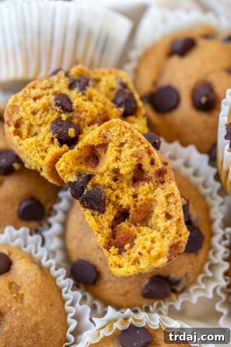 Inside photography shot of Pumpkin Chocolate Chip Muffins
