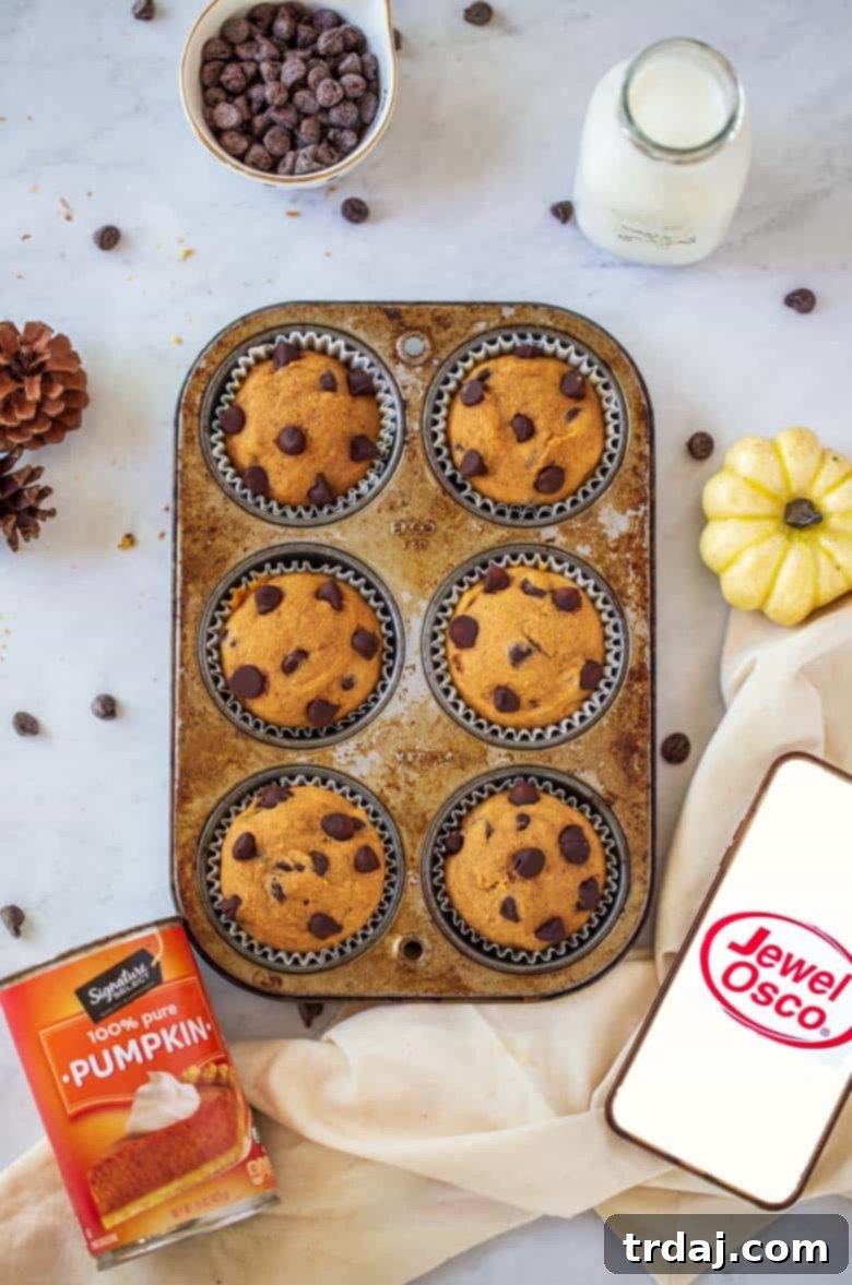 Pumpkin Chocolate Chip Muffins in a muffin tin with Jewel Osco logo and pumpkin puree