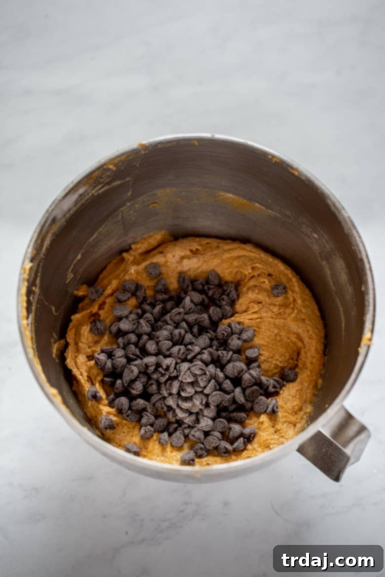Pumpkin Chocolate Chip Muffin batter in a bowl with chocolate chips