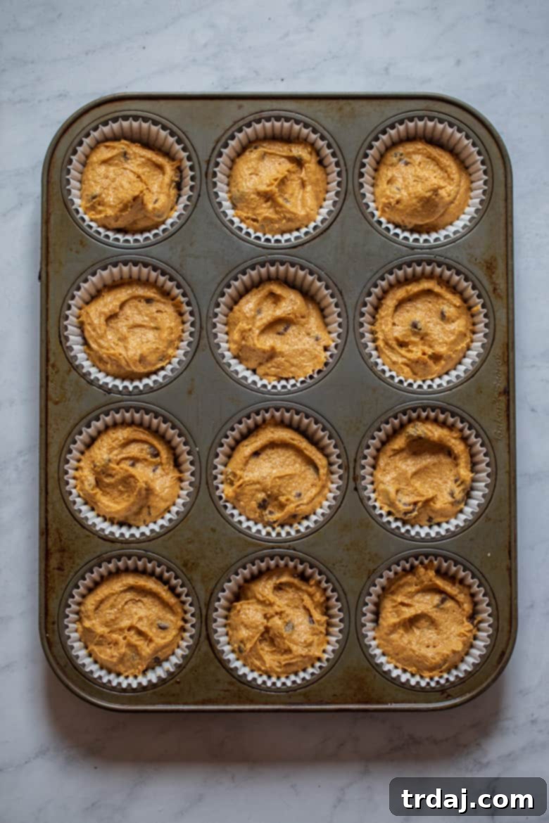 Filled muffin tin with Pumpkin Chocolate Chip Muffins