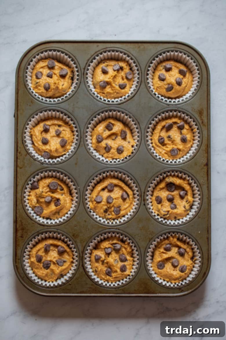 Place a few extra chocolate chips on top of pumpkin muffin batter in muffin tin.