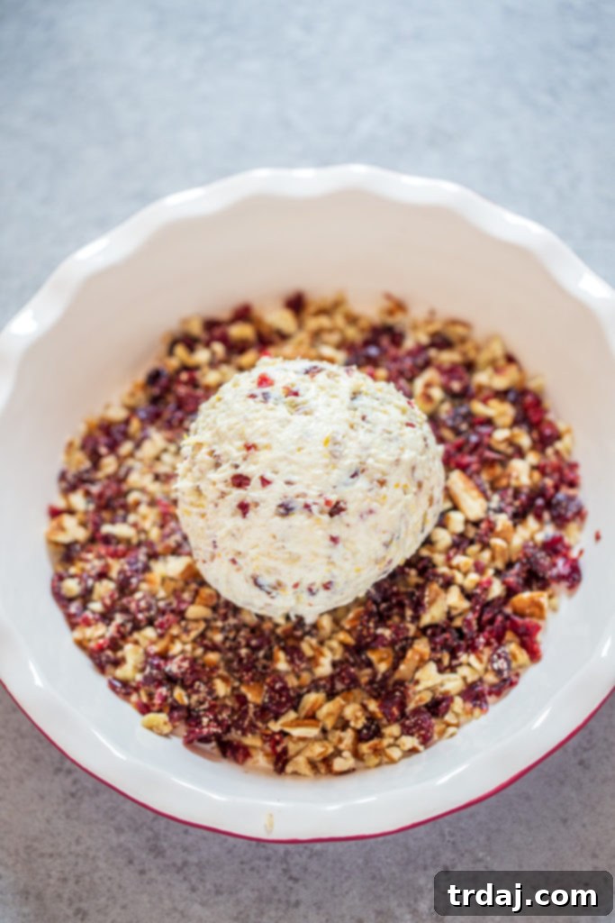 Spread additional crushed pecans (¼ cup) and dried cranberries (¼ cup) on the counter; roll ball in them until covered.