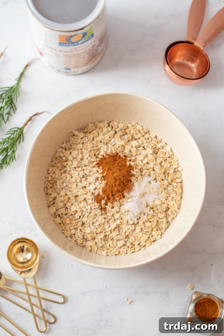 Mixing rolled oats, cinnamon, and salt in a bowl for homemade granola