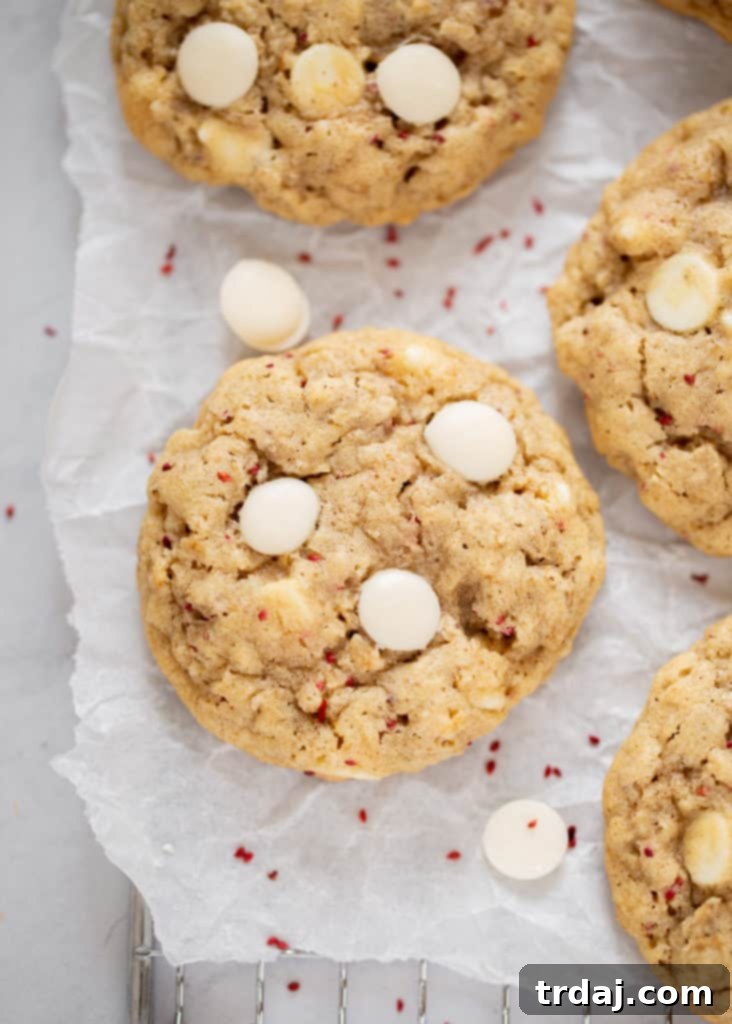 These White Chocolate Cranberry Oatmeal Cookies are soft, chewy and with added health benefits of cranberry seeds making them the BEST recipe! Close up shot of a single White Chocolate Cranberry Oatmeal Cookie